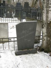 Мерзон Илья Евсеевич, Москва, Востряковское кладбище