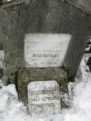 Айзенштадт Зиша Боруховна, Москва, Востряковское кладбище