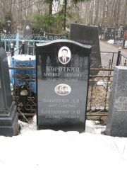Блитштейн Э. Ш., Москва, Востряковское кладбище