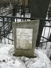 Левин Леониж Борисович, Москва, Востряковское кладбище