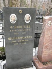 Файнштейн Ефим Наумович, Москва, Востряковское кладбище