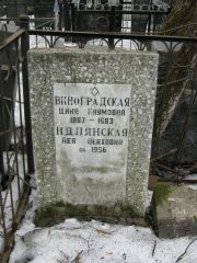 Идлянская Лея Неяховна, Москва, Востряковское кладбище