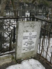 Виноградский Михаил Григорьевич, Москва, Востряковское кладбище