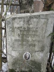 Копелевич Бейла-Доба Липовна, Москва, Востряковское кладбище