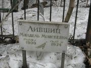 Лившиц Миндель Моисеевна, Москва, Востряковское кладбище
