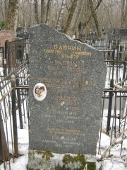 Гольдин Самуил Иосифович, Москва, Востряковское кладбище