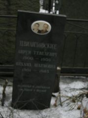 Цвилиховский Аврум Тевелевич, Москва, Востряковское кладбище