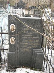 Слепицкая Гитель Исаевна, Москва, Востряковское кладбище