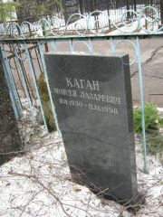 Каган Моисей Лазаревич, Москва, Востряковское кладбище