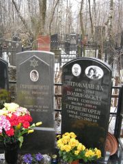 Гершенгорен Берта Иосифовна, Москва, Востряковское кладбище