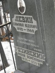Левин Самуил Юдович, Москва, Востряковское кладбище