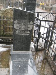 Шинберг Израиль Шлемович, Москва, Востряковское кладбище
