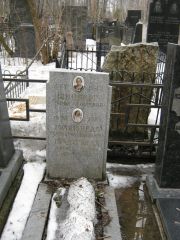 Шинберг Софья Моисеевна, Москва, Востряковское кладбище