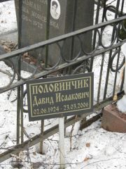 Половинчик Давид Исаакович, Москва, Востряковское кладбище