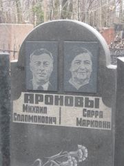 Аронова Сарра Марковна, Москва, Востряковское кладбище