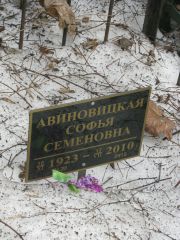 Авиновицкая Софья Семеновна, Москва, Востряковское кладбище
