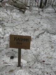 Капник М. И., Москва, Востряковское кладбище