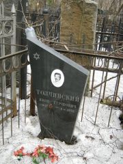 Толчинский Яков Гершович, Москва, Востряковское кладбище