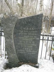 Сивак Илья Идельевич, Москва, Востряковское кладбище