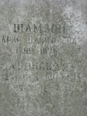 Шамзон Ария Давидовна, Москва, Востряковское кладбище