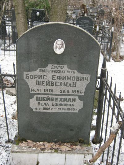 Шейвехман Борис Ефимович