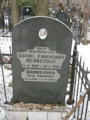 Шейвехман Борис Ефимович, Москва, Востряковское кладбище