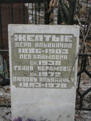 Желтый Гения Абрамович, Москва, Востряковское кладбище