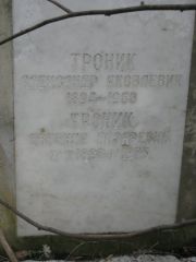 Троник Александр Яковлевич, Москва, Востряковское кладбище