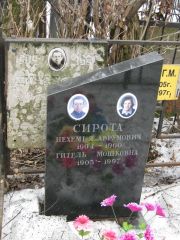 Сирота Нехемья Аврумович, Москва, Востряковское кладбище