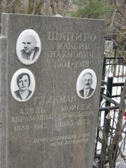 Шапиро Максим Наумович, Москва, Востряковское кладбище