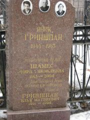 Гриншпан Яник , Москва, Востряковское кладбище