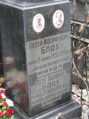 Блох Роза Львовна, Москва, Востряковское кладбище