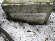 Арановский Евсей Абрамович, Москва, Востряковское кладбище