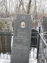 Шацман Белла Хаскелевич, Москва, Востряковское кладбище