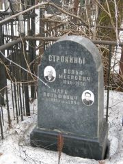 Строкин Вольф Меерович, Москва, Востряковское кладбище