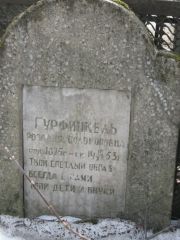 Гурфинкель Розалия Соломоновна, Москва, Востряковское кладбище