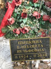 Цыпкина Елизавета Вульфовна, Москва, Востряковское кладбище