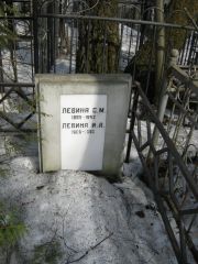 Левина И. А., Москва, Востряковское кладбище