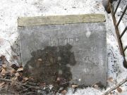 Инглер Спринце Менделеевна, Москва, Востряковское кладбище