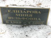 Елизарова Миня Вульфовна, Москва, Востряковское кладбище