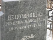 Непомнящая Ревекка Моисеевна, Москва, Востряковское кладбище