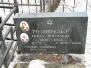 Розенфельд Софья Шлемовна, Москва, Востряковское кладбище