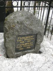 Гольдберг Павел Абрамович, Москва, Востряковское кладбище