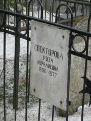 Спекторова Роза Изралиевна, Москва, Востряковское кладбище