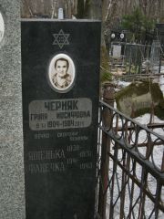 Черняк Груня Иосифовна, Москва, Востряковское кладбище