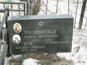 Дун Зельман Симхович, Москва, Востряковское кладбище