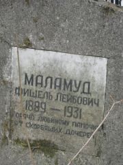 Маламуд Фишель Лейбович, Москва, Востряковское кладбище