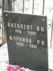 Журкина Р. В., Москва, Востряковское кладбище