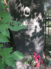 Итин Пинхус Вульфович, Москва, Востряковское кладбище