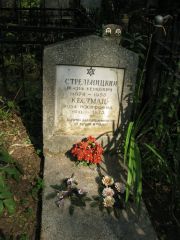 Стрельницкий Иосиф Беркович, Москва, Востряковское кладбище